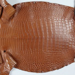 Matte Brown · Grade 1 · 29cm · CITES Tag 0644639